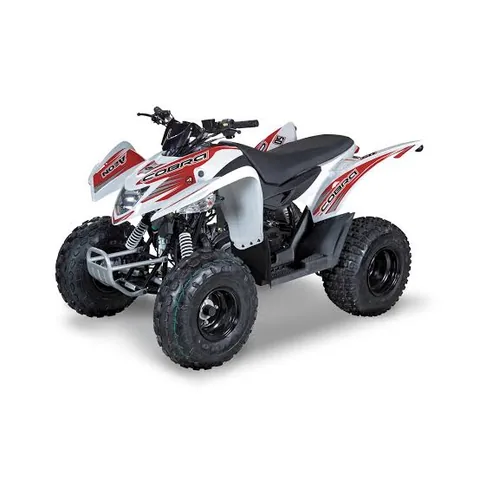 AEON Cobra 50cc quad bike for hire at Corfu Motor Rent, Ipsos